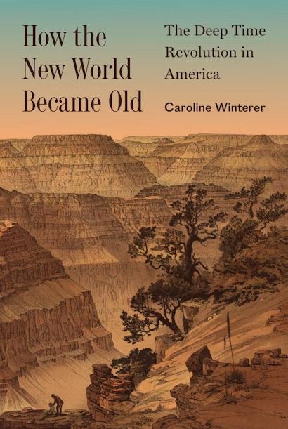 How the New World Became Old by Caroline Winterer, History